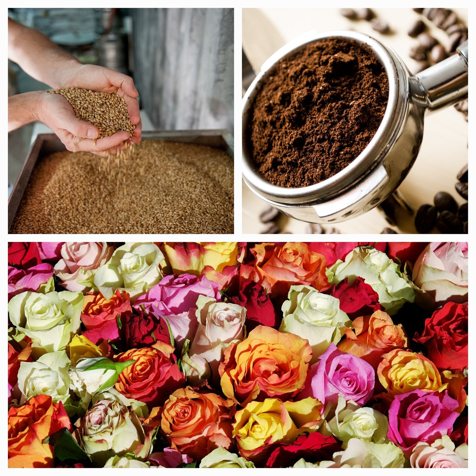 Atlantic Canada’s First Upcycled Skin Care Line Launches!