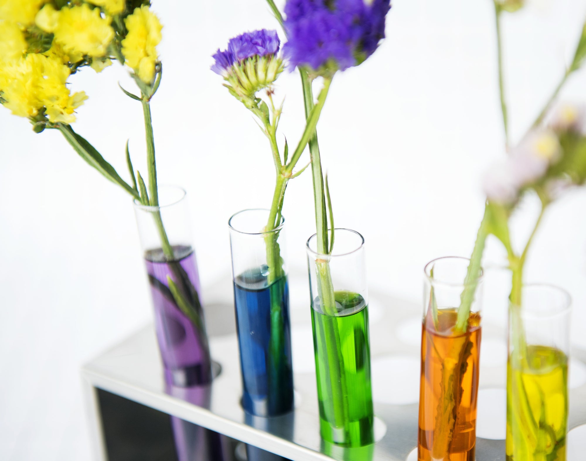 UNLOCKING THE TRUTH: Why Reading Your Skincare Labels is a Must for Healthy Skin and Your Overall Health